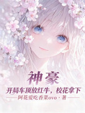 神豪：開局車頂放紅牛，校花拿下