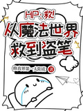hp：從魔法世界救到盜筆