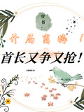 穿書：開局離婚！首長又爭又搶！