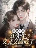 小妻不乖，江先生又又又破戒了