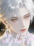 快穿：什麼反派那是親親老婆