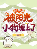分手后，被陽光小狗纏上了