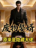 廢物贅婿：原來是隱藏大佬