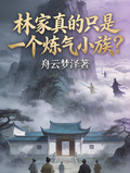 林家真的只是一個鍊氣小族？
