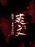 快穿：一本爽文中的爽文