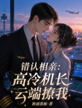錯認相親：高冷機長雲端撩我