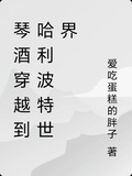 琴酒穿越到哈利波特世界