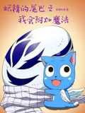 妖精的尾巴之我會附加魔法