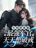 軍婚甜蜜蜜，最強軍官天天想破戒