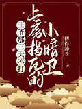 王爺那三天不打上房揭瓦的小暗衛