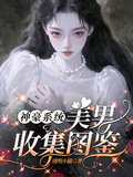 神豪系統：美男收集圖鑑