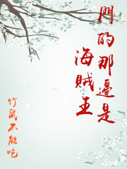 門的那邊是海賊王