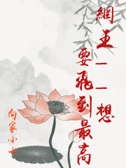 網王——想要飛到最高