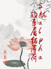 S級alpha的專屬貓薄荷
