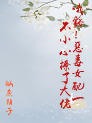 哦豁！惡毒女配一不小心撩了大佬