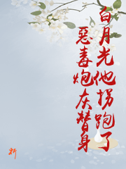 白月光他拐跑了惡毒炮灰替身