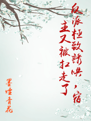 反派極致誘哄，宿主又被扛走了