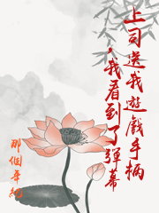 上司送我遊戲手柄，我看到了彈幕
