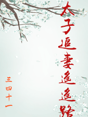 太子追妻遙遙路