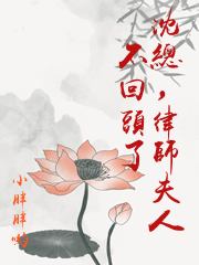 沈總，律師夫人不回頭了