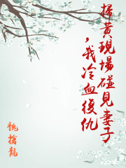 掃黃現場碰見妻子，我冷血復仇