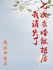 七次求婚被拒后我消失了