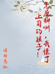 怎麼辦啊，我懷了上司的孩子！