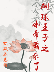 網球王子之冰帝我來了