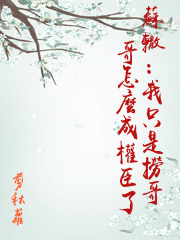 蘇轍：我只是撈哥哥怎麼成權臣了