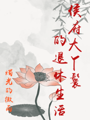 侯府大丫鬟的退休生活