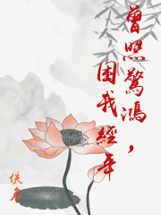 曾照驚鴻，困我經年