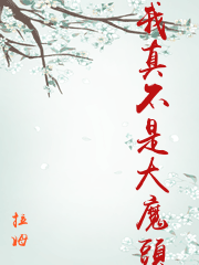 我真不是大魔頭