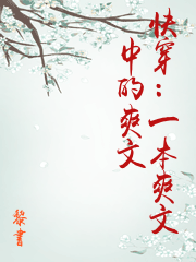 快穿：一本爽文中的爽文