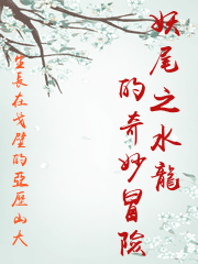妖尾之水龍的奇妙冒險