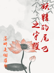 妖精的尾巴之守護