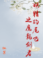 妖精的尾巴之魔龍劍者