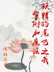 妖精的尾巴之我會附加魔法