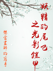 妖精的尾巴之光影鎧甲