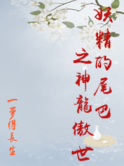 妖精的尾巴之神龍傲世