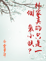林家真的只是一個鍊氣小族？