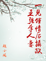 一見鍾情后攝政王強奪人妻