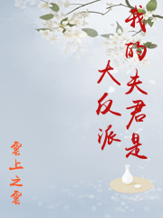 我的夫君是大反派
