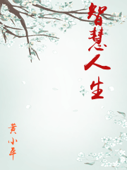 智慧人生