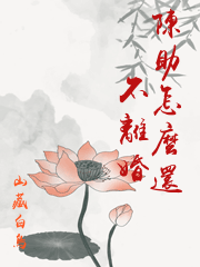 陳助怎麼還不離婚