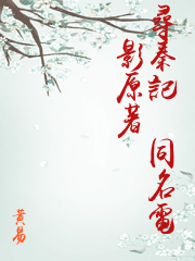 尋秦記（同名電影原著）
