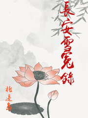 長安雪冤錄