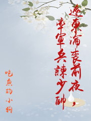 遼東淪喪前夜，率軍兵諫少帥