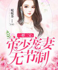 一婚二寶：帝少寵妻無節制