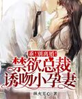 乖！別離婚！禁慾總裁誘吻小孕妻