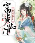 農家媳婦富貴臨門